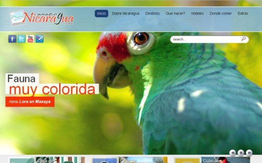 amazing4-e1301588824983