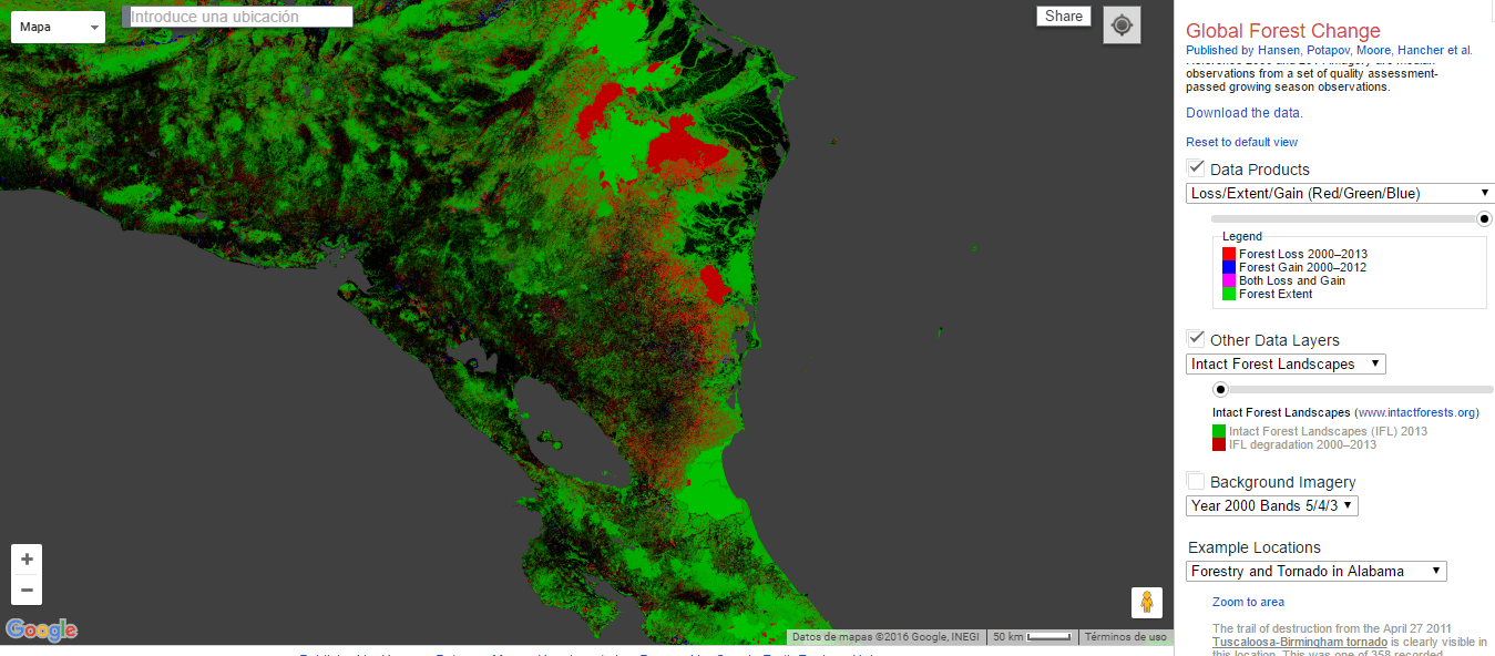 Global Forest Change