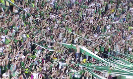 tumblr_ohen2aek141vwjcalo4_400